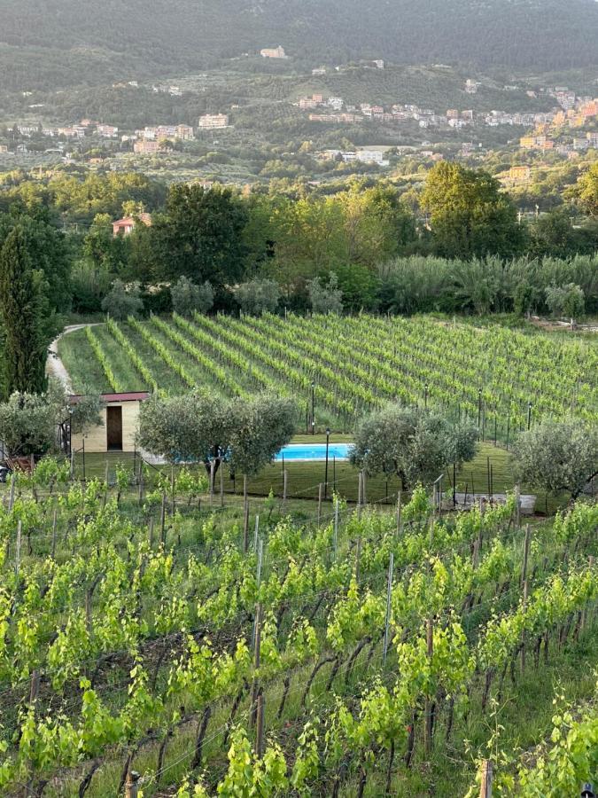 Casale Verdeluna Wine Resort Piglio 외부 사진