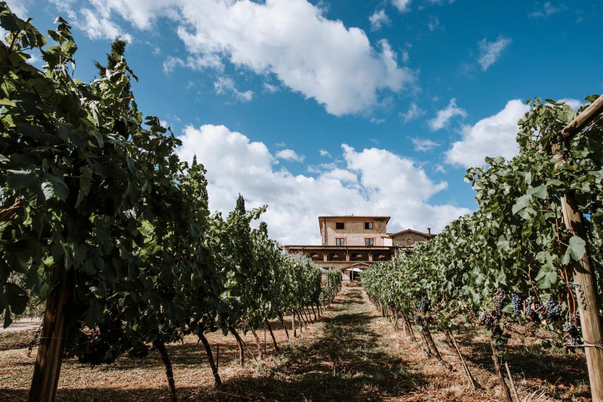 Casale Verdeluna Wine Resort Piglio 외부 사진