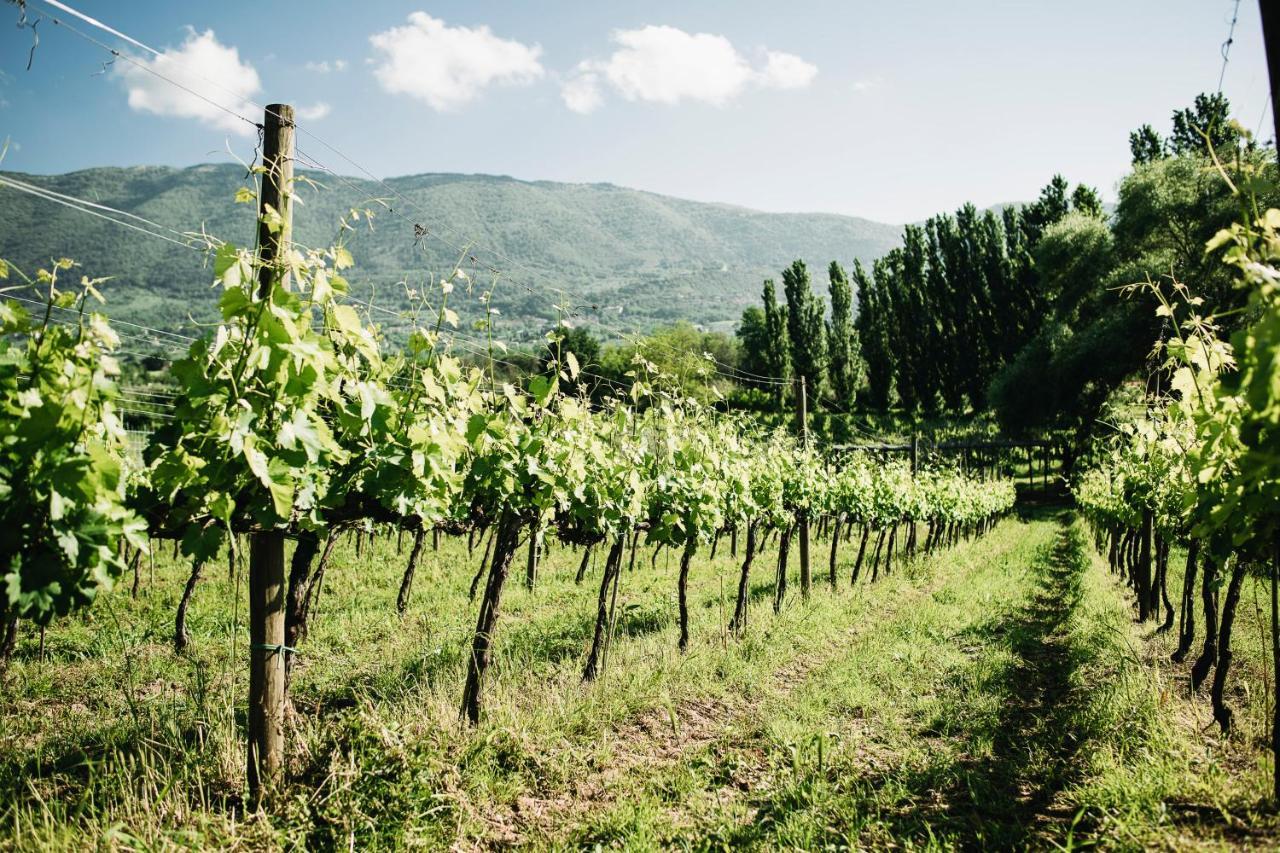 Casale Verdeluna Wine Resort Piglio 외부 사진